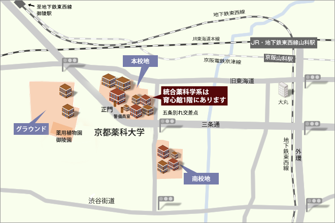 京都薬科大学統合薬科学系マップ