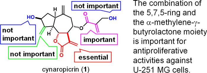 学術誌Chemical and Pharmaceutical Bulletin に論文が掲載されました