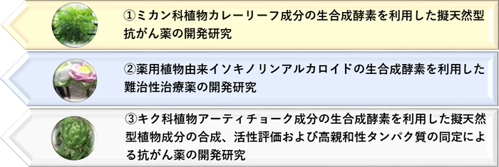 植物生合成酵素を利用した天然型および擬天然型植物成分の合成研究