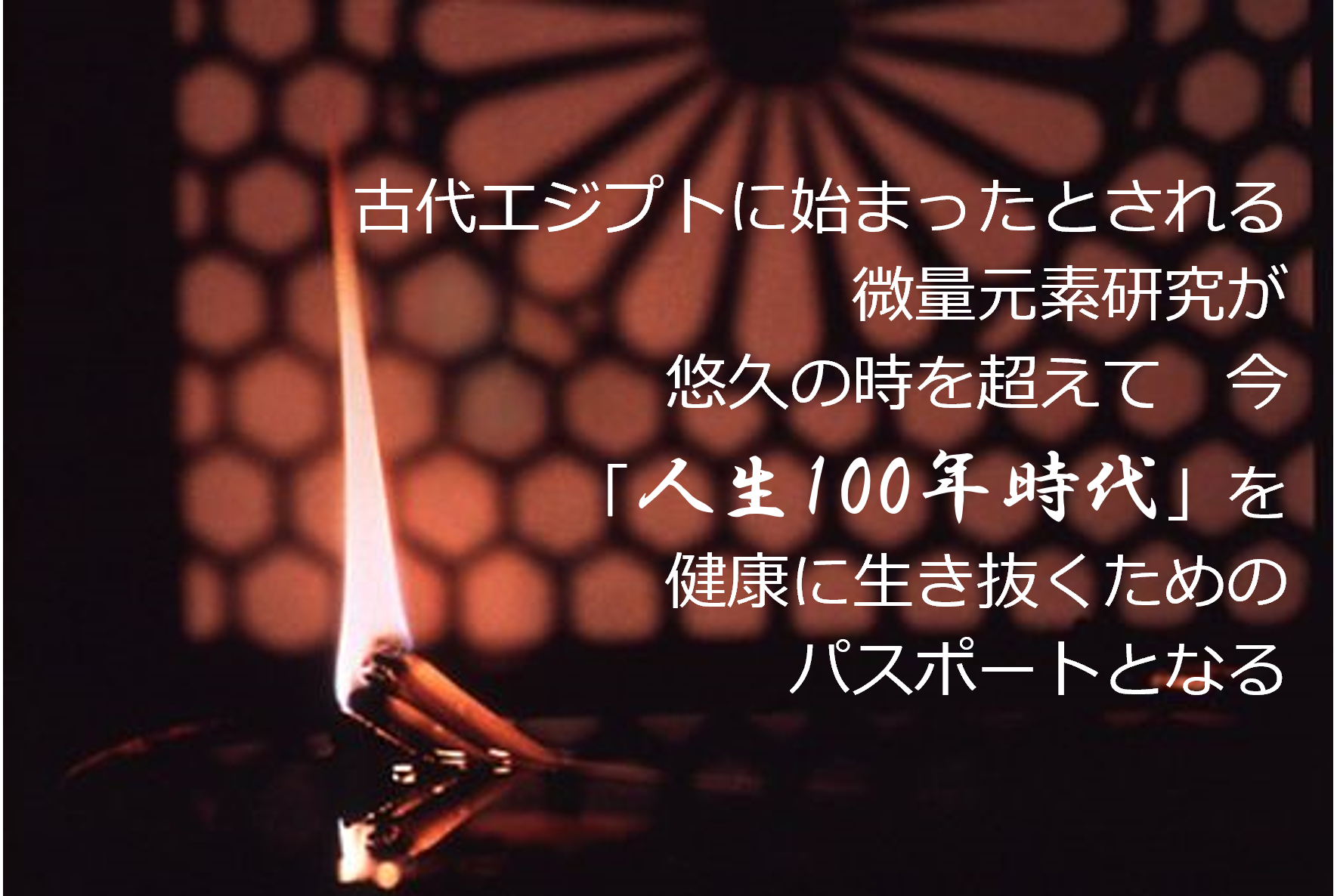 第36回 日本微量元素学会学術集会